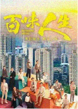 vip影院剧集藏品 雾港航线 封面