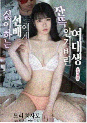 vip影院剧集藏品 长夜档案室 封面